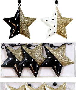 5573 STAR PENDANT IN BOX S/6